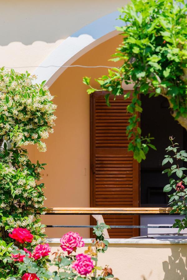 Ilena Hotel Acharavi  Luaran gambar
